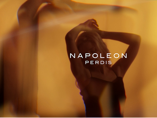 上新套组Napoleon