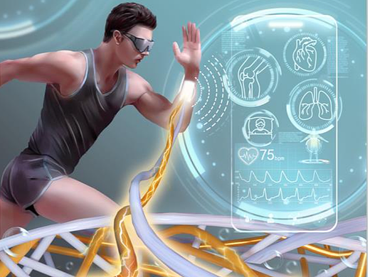 科研绘图-SCI封面