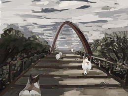 《柯基出去玩》