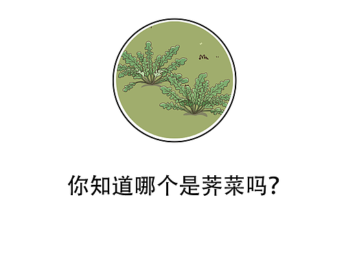 你知道哪个是荠菜吗？