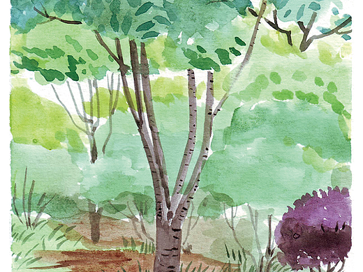 午后陽光（個(gè)人主頁-ZNjY5MTI5NDQ=） - 藝術(shù)插畫 - 站酷設(shè)計(jì)師會畫畫的閃閃原創(chuàng)素材 - 站酷ZCOOL