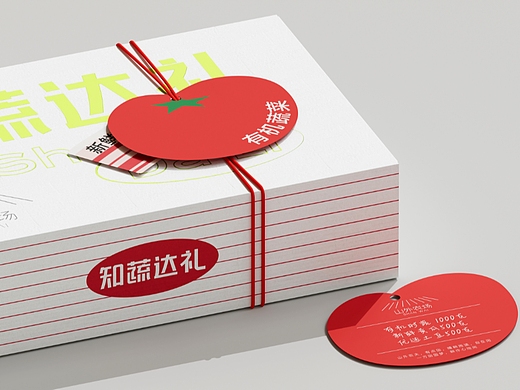 山外农场-知蔬达礼混合蔬菜礼盒包装