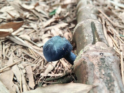 林里山間（個(gè)人主頁-ZNjEwNjI0OTI=） - 風(fēng)光攝影 - 站酷設(shè)計(jì)師淡定不能抖原創(chuàng)素材 - 站酷ZCOOL