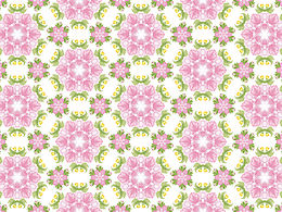 春天的一抹色彩