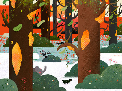 阿蚌XTEA Degrees（個人主頁-ZMzYzMTA0NDA=） - 商業(yè)插畫 - 站酷設計師阿蚌Boom原創(chuàng)素材 - 站酷ZCOOL