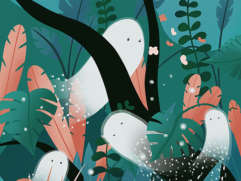 10-22插画习作-植物