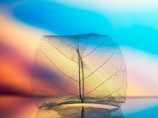 审美·简析