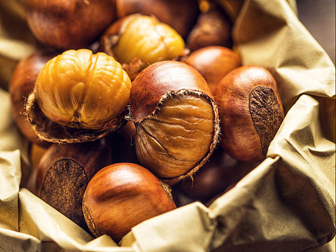 板栗🌰