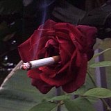 郭雪人人的头像