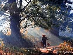 婺源石城，梦一般的云雾~