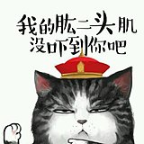 Gzzzy的头像