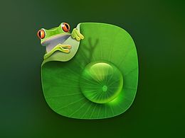 写实图标-水滴树蛙