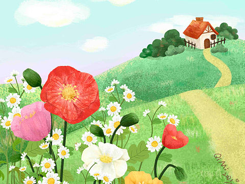 虞美人盛开的山坡