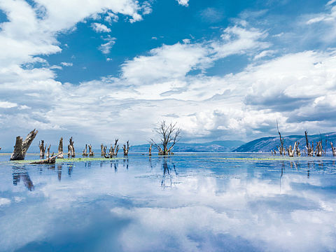 洱海