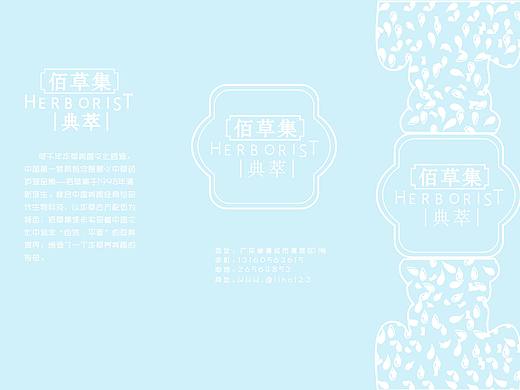 佰草集三折页
