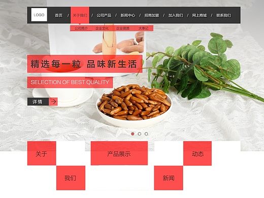 网站初尝试