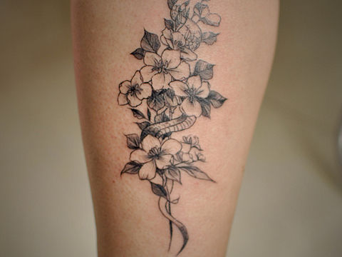 蛇（个人主页-ZMjEwNzQ1NjQ=） - 其他手工艺 - 站酷设计师lwp200原创素材 - 站酷ZCOOL