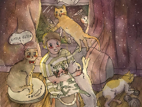 《猫与男孩》插画