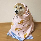 酷先僧的头像