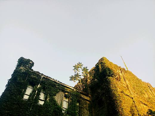 无题（个人主页-ZMjUwNTA2ODQ=） - 人文/纪实摄影 - 站酷设计师太阳屋子原创素材 - 站酷ZCOOL