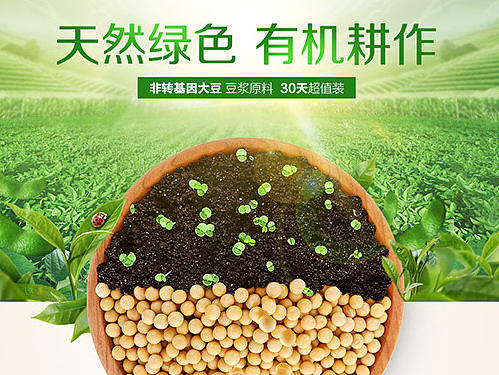 阳光豆坊豆浆豆详情页