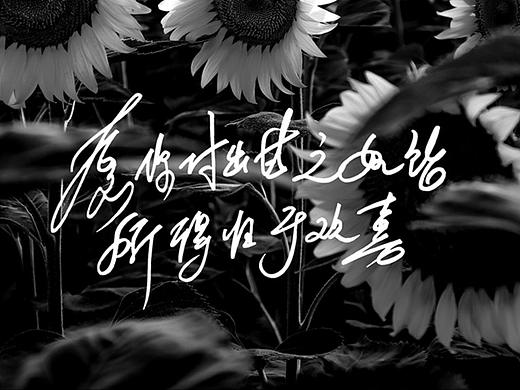 手寫創(chuàng)意字體設(shè)計(jì)｜Typography Design（個(gè)人主頁-ZNjYwNTIzMDg=） - 字體/字形 - 站酷設(shè)計(jì)師Cocoke空靈新創(chuàng)原創(chuàng)素材 - 站酷ZCOOL