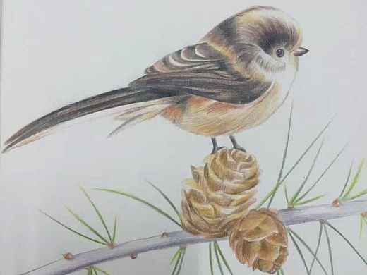 手绘（个人主页-ZMTUxNjU3NDA=） - 创作习作 - 站酷设计师陌北麓南原创素材 - 站酷ZCOOL