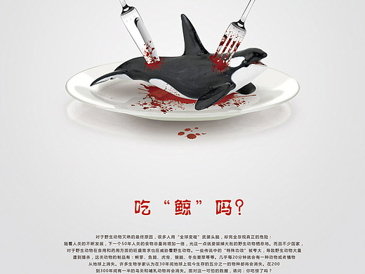 吃鲸吗?