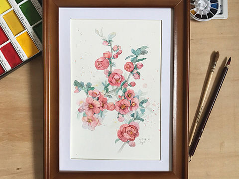 木瓜海棠