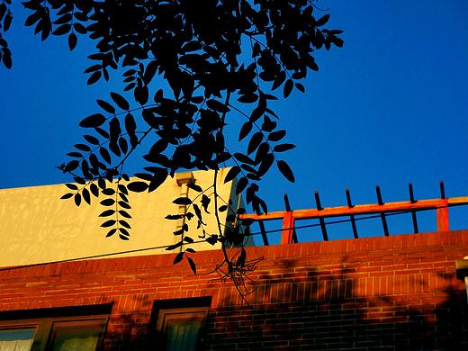 街拍，夕阳照耀的地方（个人主页-ZMzI1NDIxODQ=） - 产品摄影 - 站酷设计师嘟嘟嘟超级驼鹿原创素材 - 站酷ZCOOL