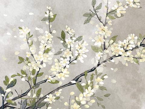 【临摹】离城老师的水墨花