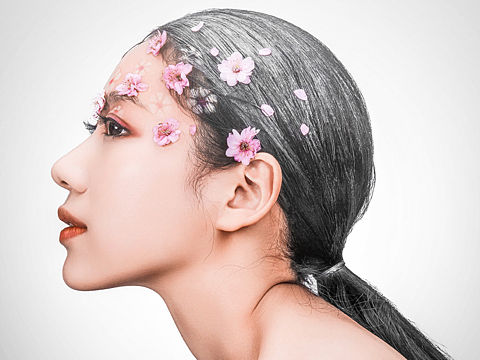 芬菲烂漫