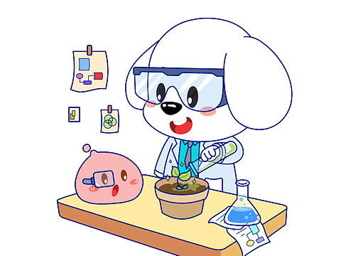 小小科学家