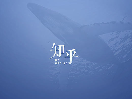 知乎再设计与思考