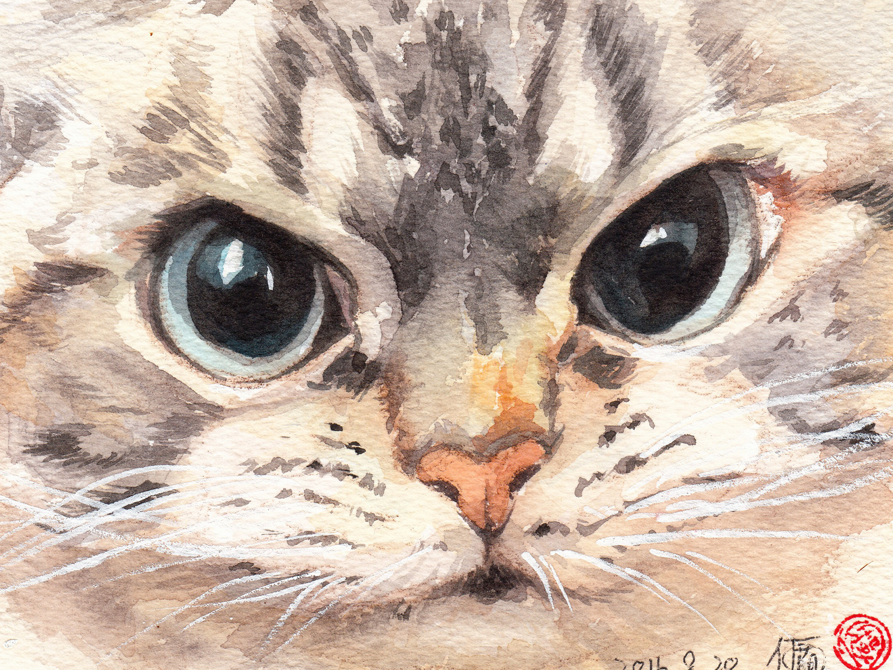 猫目_萌萌萌萌萌M站酷ZCOOL