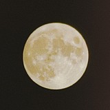 月牙moon的头像