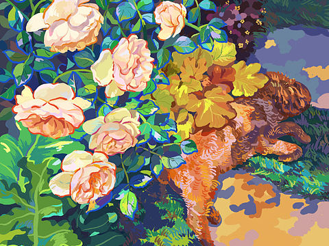 花园