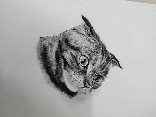 喵（个人主页-ZNDEzMTA4MDQ=） - 绘画 - 站酷设计师老大哥在看你原创素材 - 站酷ZCOOL