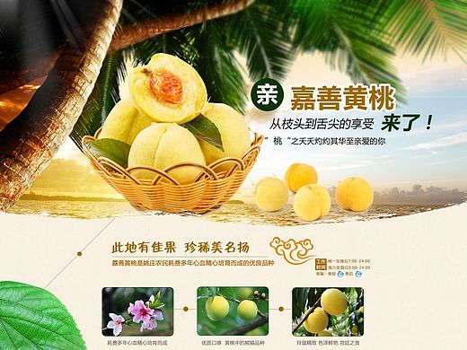 黄桃 水果