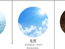 懒人图