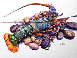 OY励志：一周一画.第三期