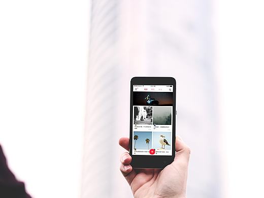 象游记--一起去看全世界