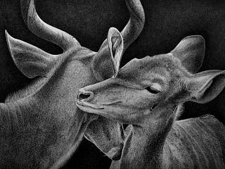 钢笔画《LOVE》
