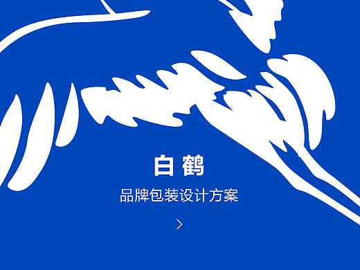 白鹤品牌设计方案