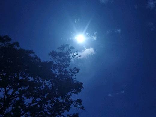 月亮好。拍照技術不好。（個人主頁-ZNTUzNjM1MDA=） - 其他攝影 - 站酷設計師酸菜豬腳原創(chuàng)素材 - 站酷ZCOOL