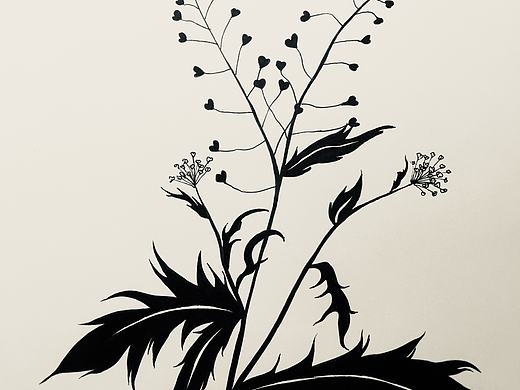 花黑白装饰画