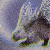 刘穿风的头像