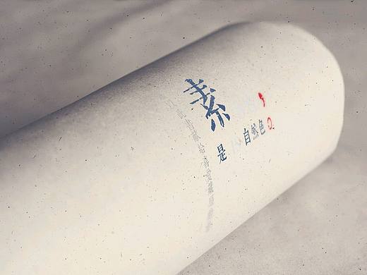 原创书籍设计《素是自然色》