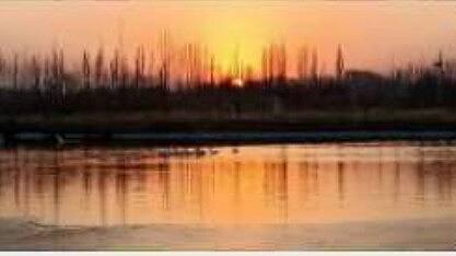 美晚（个人主页-ZNDI2MDkwNDg=） - 艺术插画 - 站酷设计师Z74222487原创素材 - 站酷ZCOOL