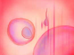 艺术概念插画|生命感